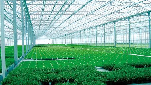 北方溫室大棚采用欣海陽光板的優(yōu)勢